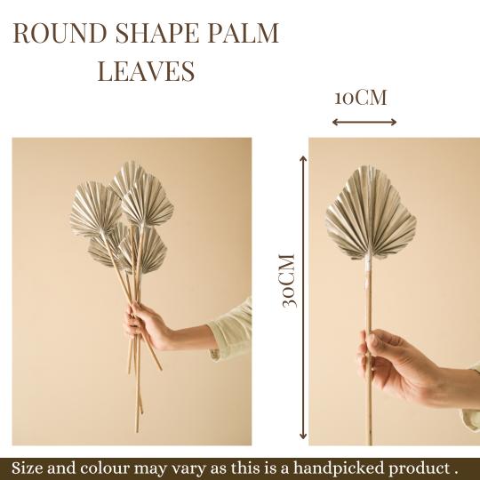 Round shape palm leaves - https://artecasa.in/