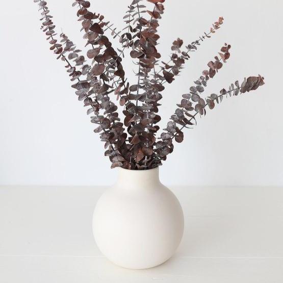 Brown Eucalyptus Dried Flower Stems (Set of 5) | Natural Long-Lasting Home Decor – ArteCasa