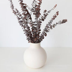 Brown Eucalyptus Dried Flower Stems (Set of 5) | Natural Long-Lasting Home Decor – ArteCasa