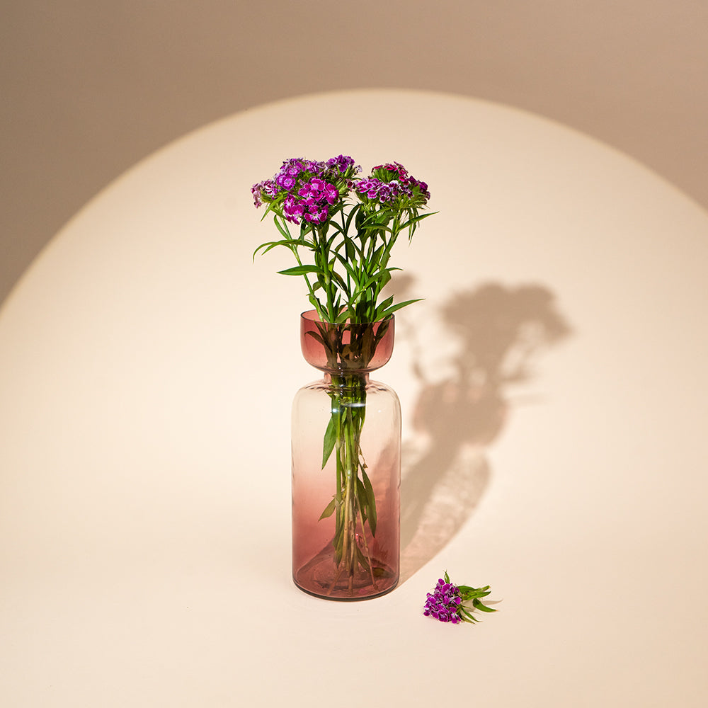 Muun Home Tinted Glass Vases