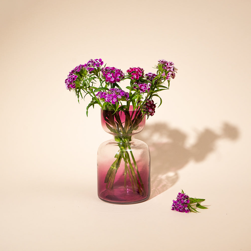 Muun Home Tinted Glass Vases