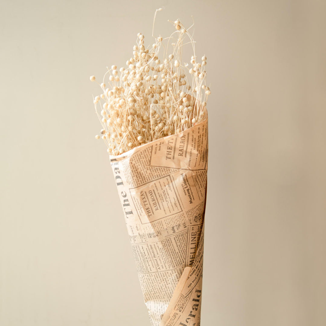 White flax dried flower - https://artecasa.in/