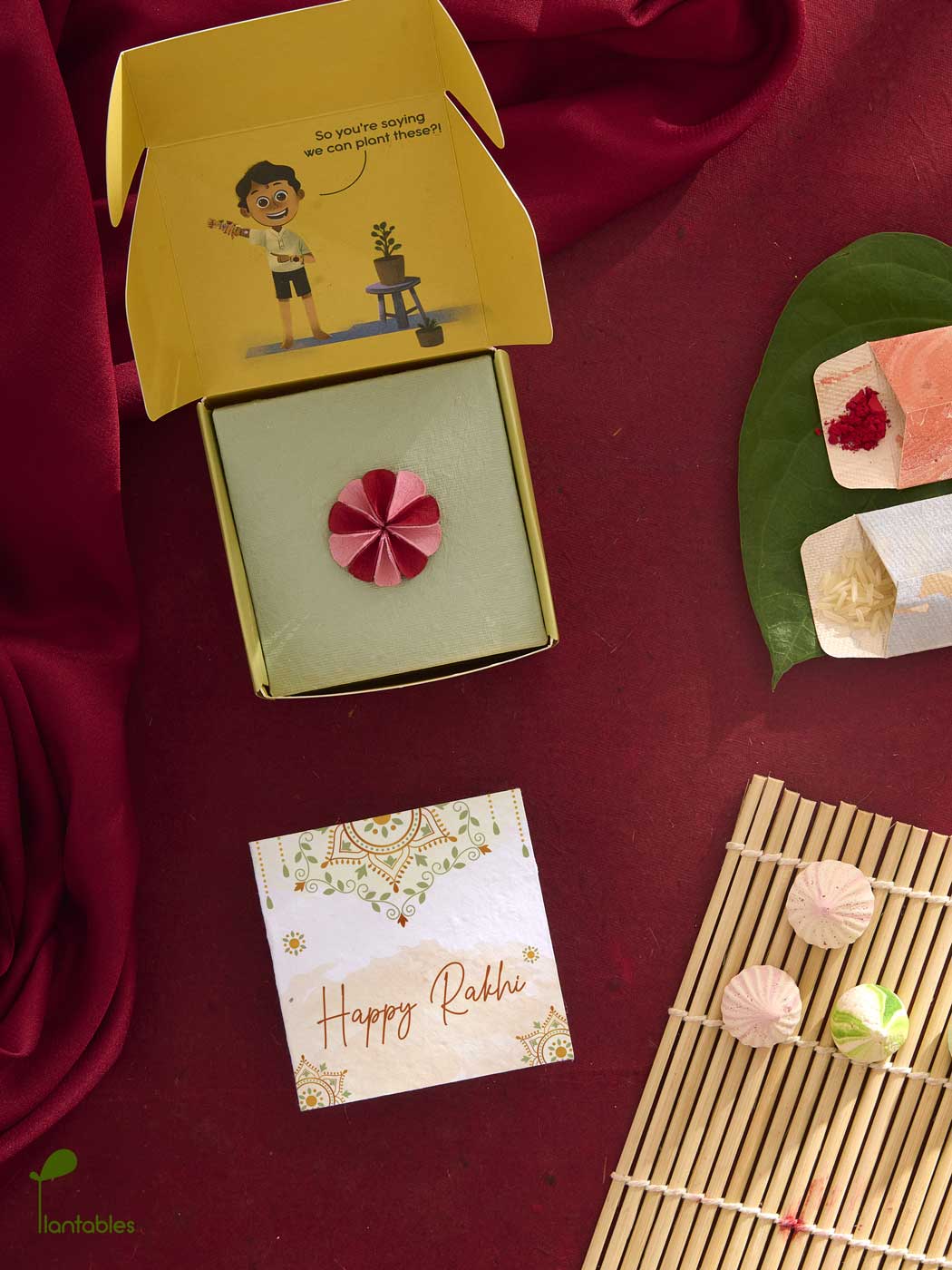 Plantables Dahlia Rakhi Combo