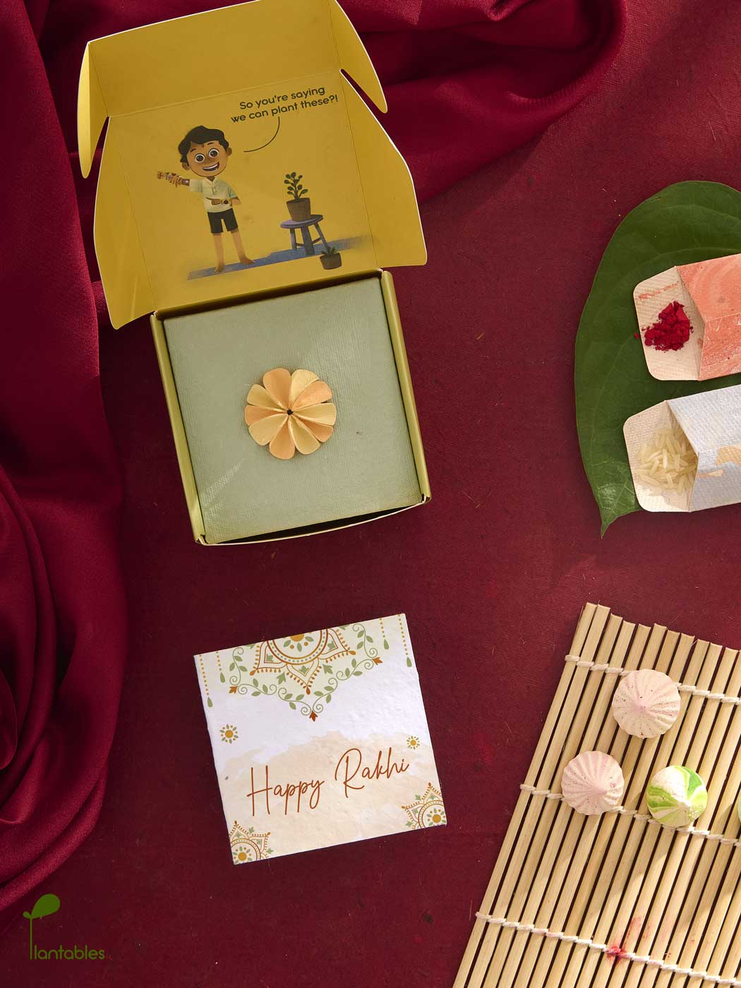 Plantables Dahlia Rakhi Combo