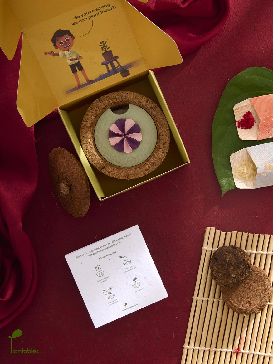 Plantables Dahlia Rakhi Planting Kit