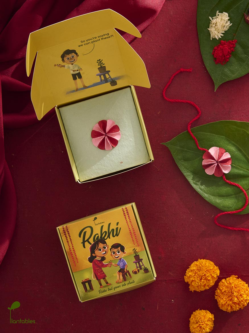 Plantables Dahlia Rakhi Combo