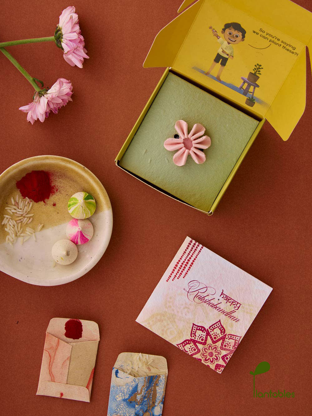 Plantables Daisy Delight Rakhi Combo