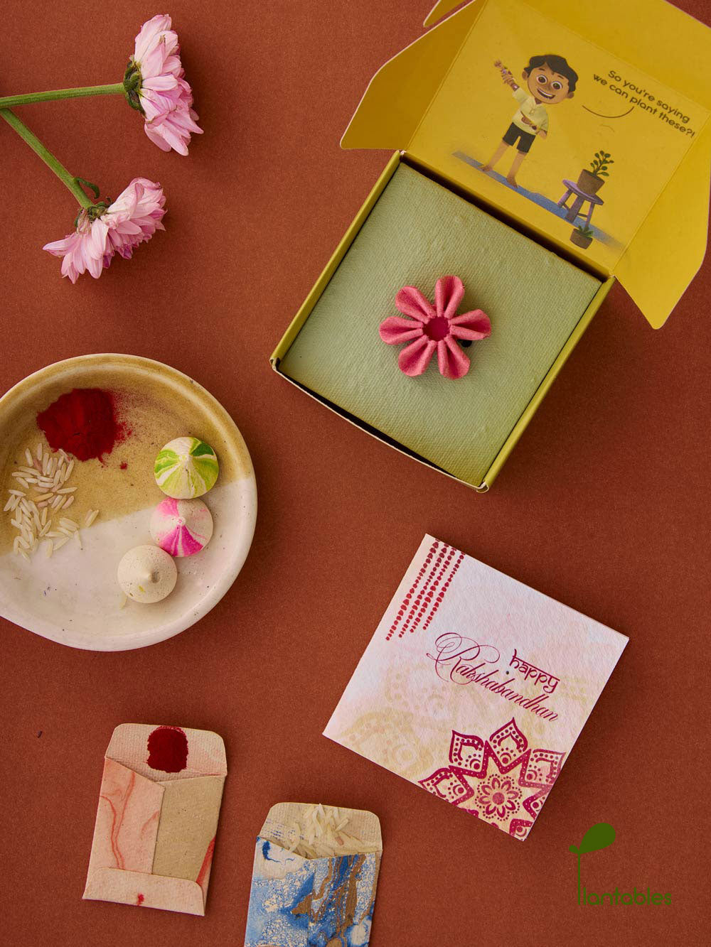 Plantables Daisy Delight Rakhi Combo