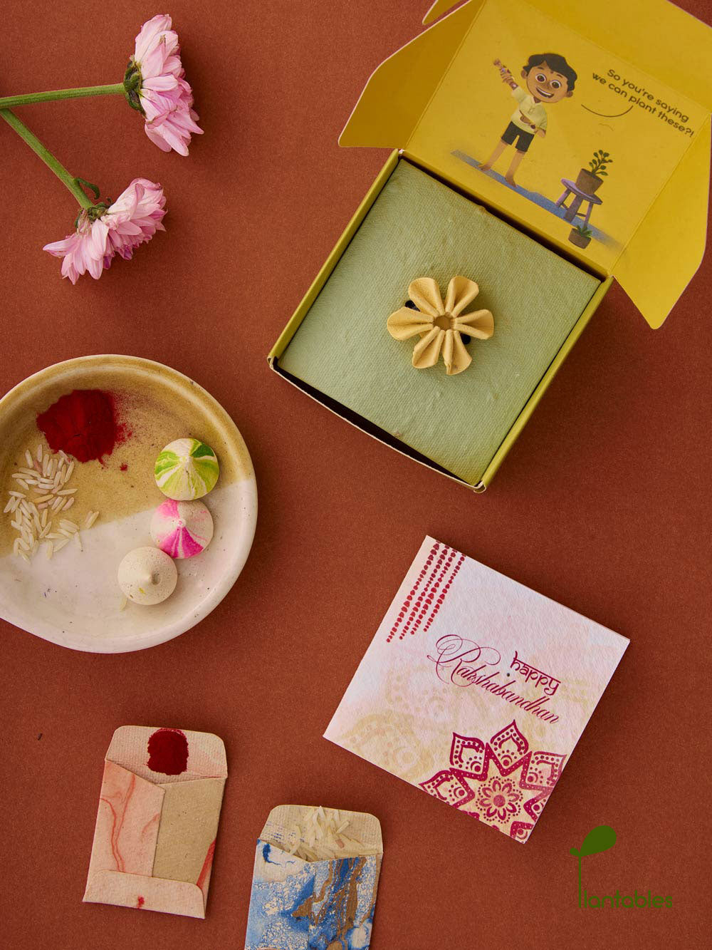 Plantables Daisy Delight Rakhi Combo