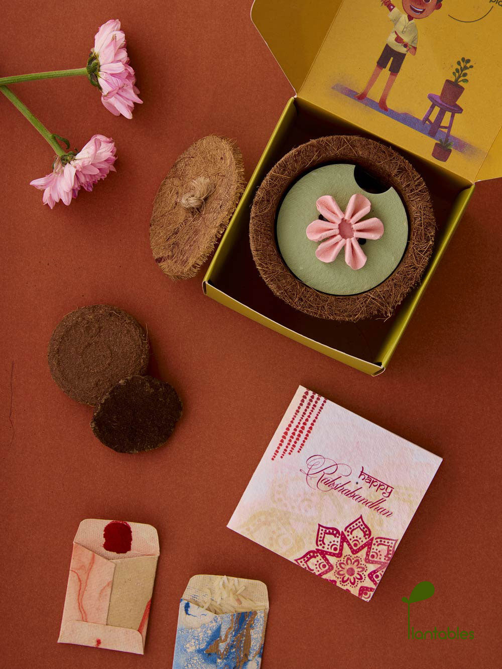 Plantables Daisy Delight Rakhi Planting Kit
