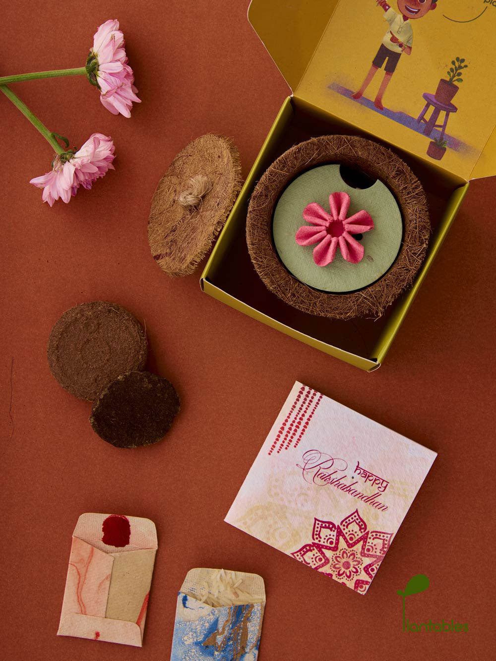 Plantables Daisy Delight Rakhi Planting Kit