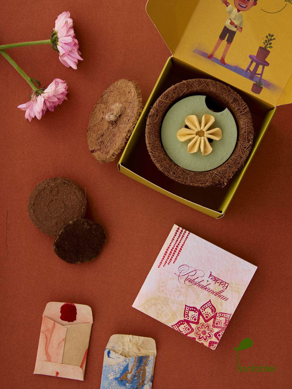 Plantables Daisy Delight Rakhi Planting Kit