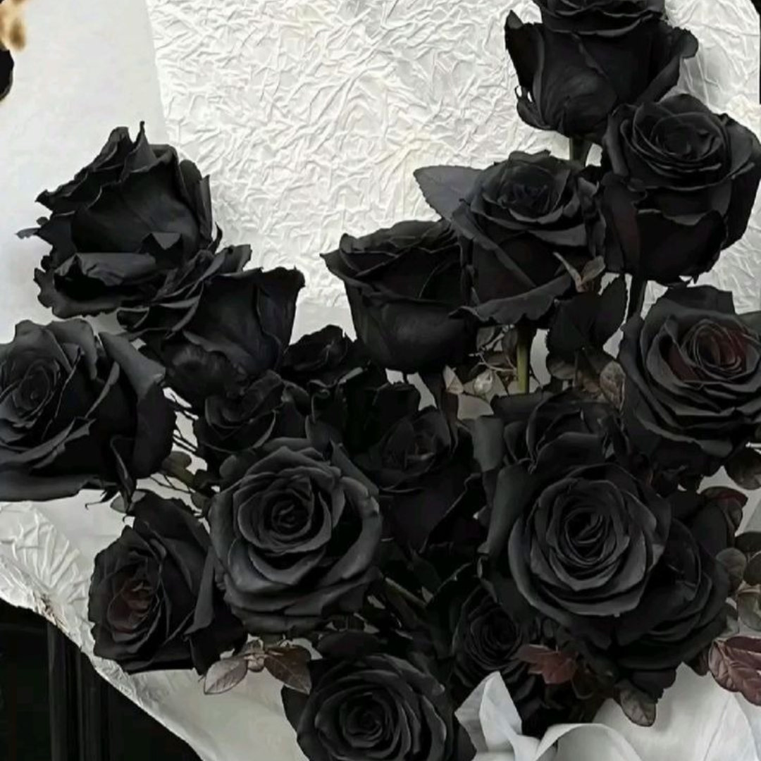 Midnight Noir Preserved Black Rose | Real Black Rose for Décor & Gifting