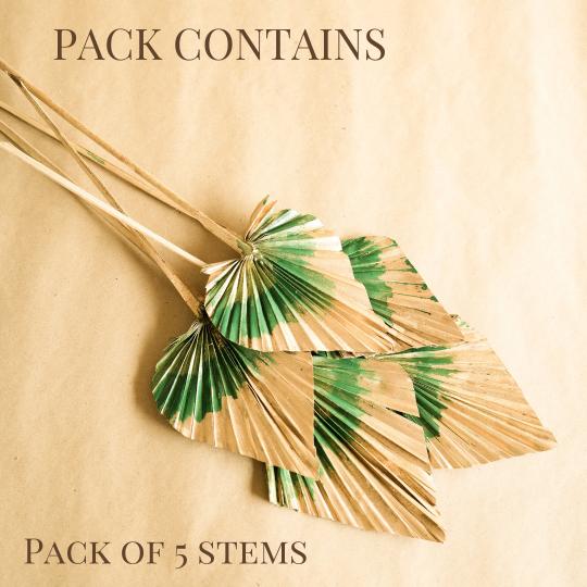 Golden Green Dual tone palm leaves - https://artecasa.in/