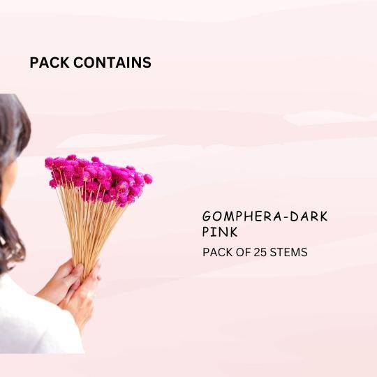 gomphera set of 25 stems -Dark pink - https://artecasa.in/