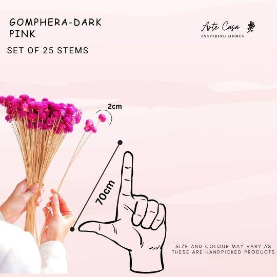 gomphera set of 25 stems -Dark pink - https://artecasa.in/