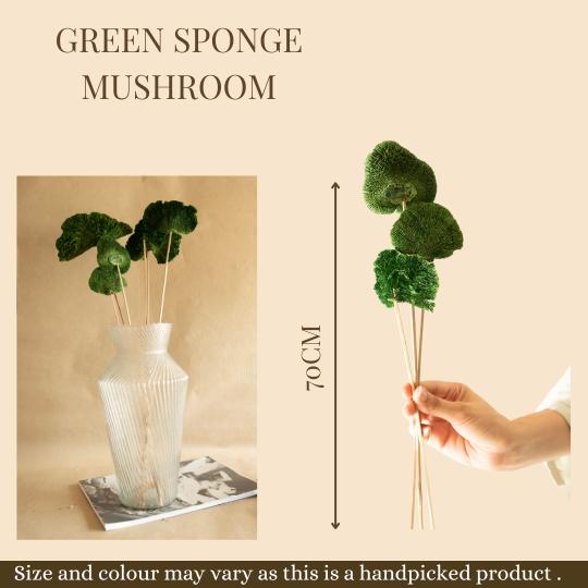 Green Sponge Mushroom - https://artecasa.in/