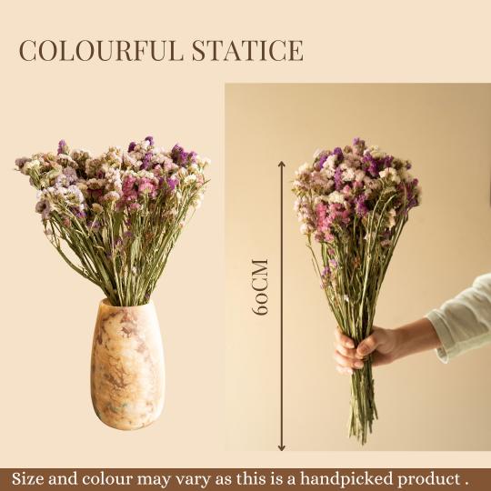 Colourful Statice - https://artecasa.in/