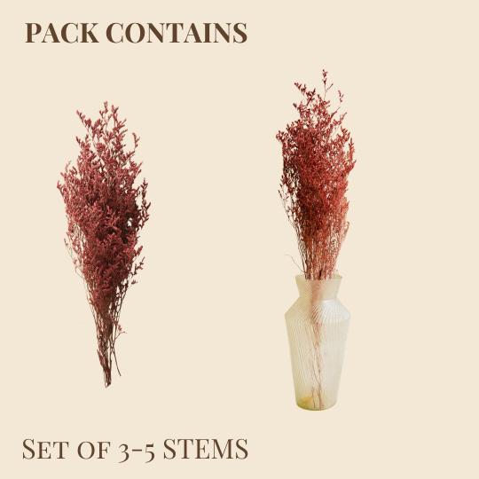Red Limonium - https://artecasa.in/