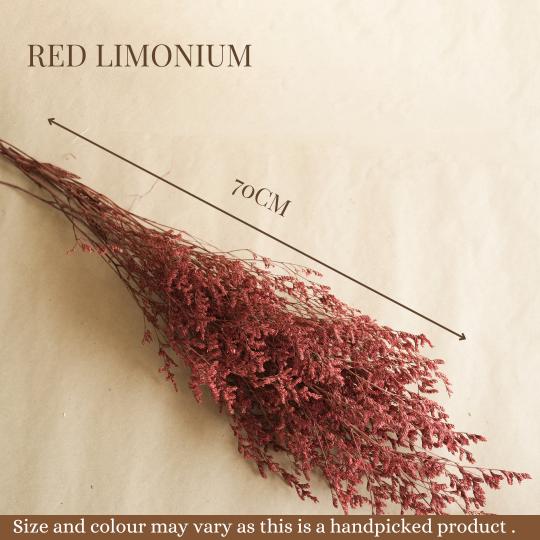 Red Limonium - https://artecasa.in/