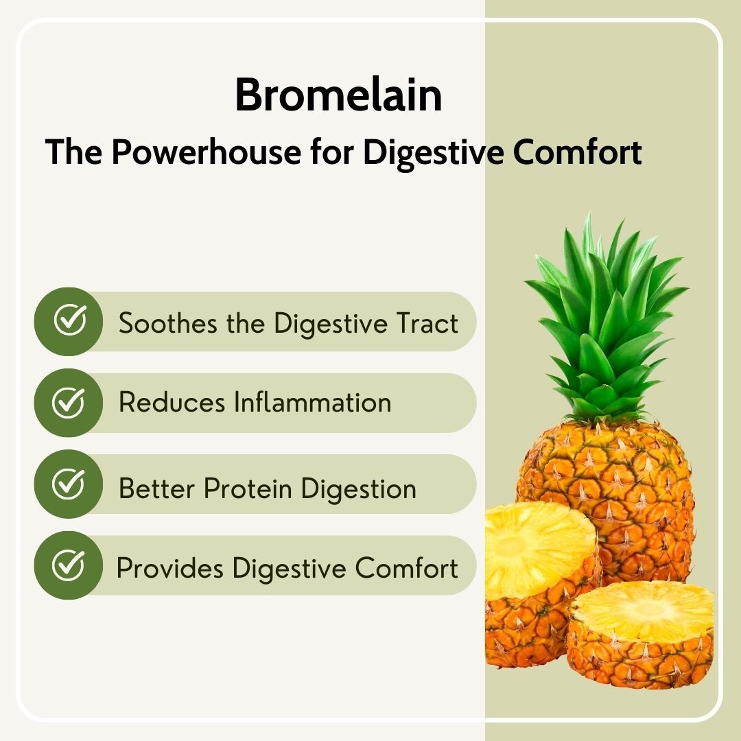 Digestive Enzymes with Bromelain 840mg | Multi Enzyme Blend Supplement | 90 Veg Tablets