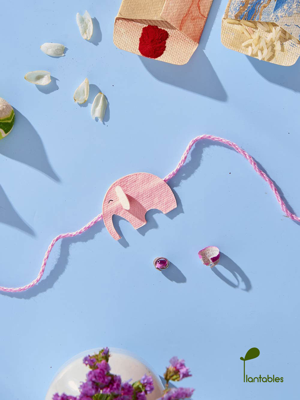 Plantables Ellie Belly Rakhi Combo