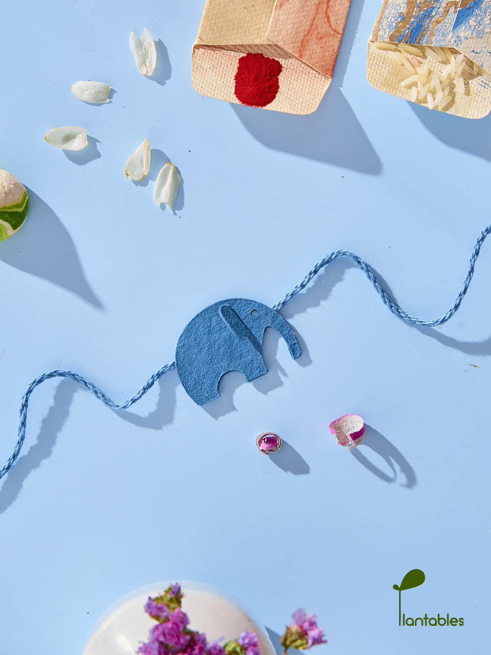 Plantables Ellie Belly Rakhi Combo