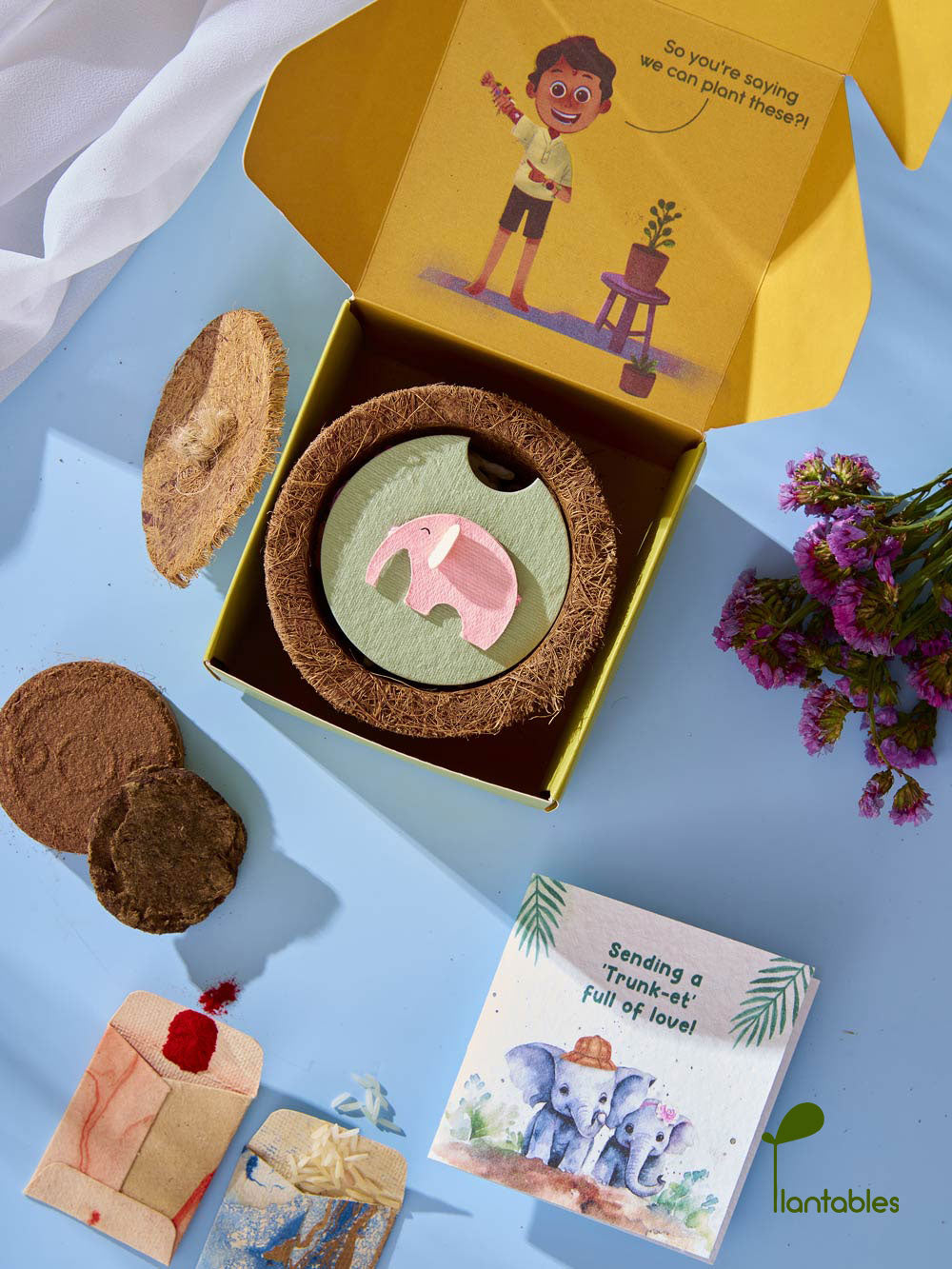Plantables Ellie Belly Rakhi Planting Kit