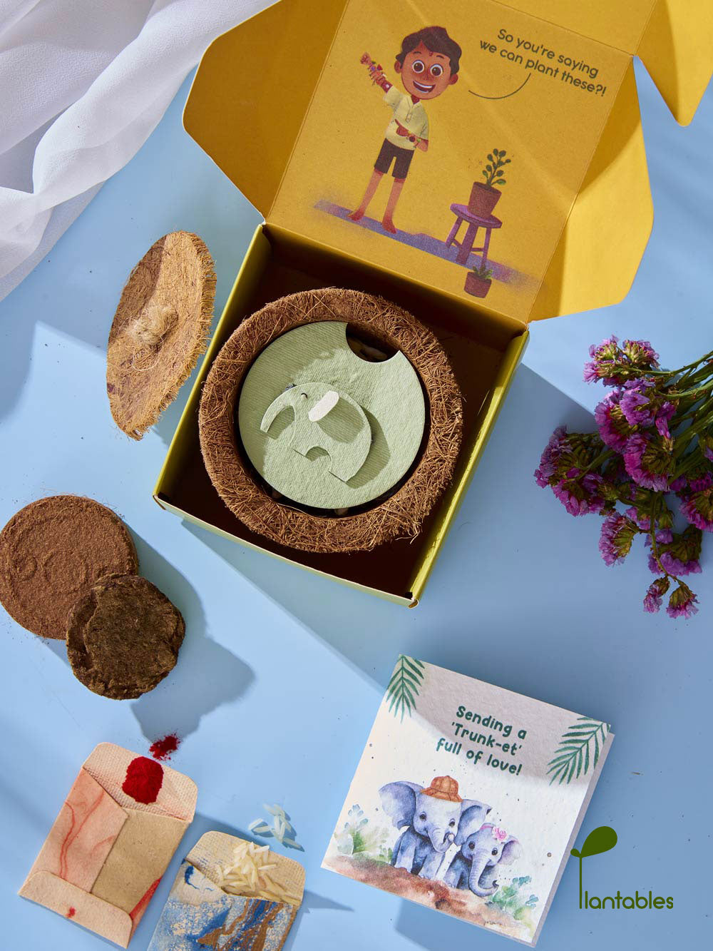 Plantables Ellie Belly Rakhi Planting Kit