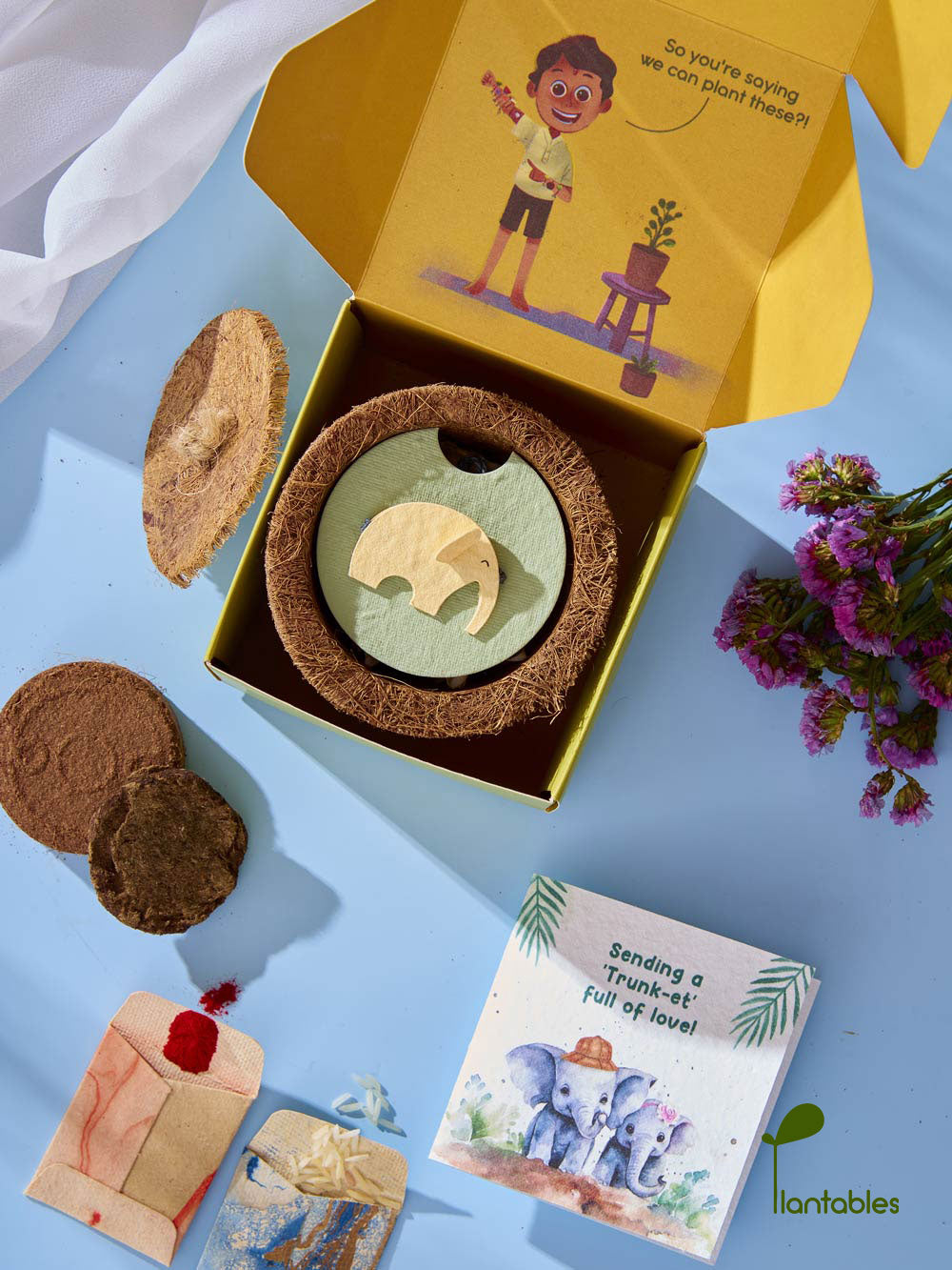 Plantables Ellie Belly Rakhi Planting Kit