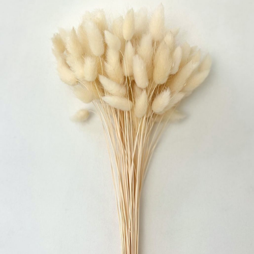 Pompons Soleil – Yellow Bunny Tail Flower Bunch