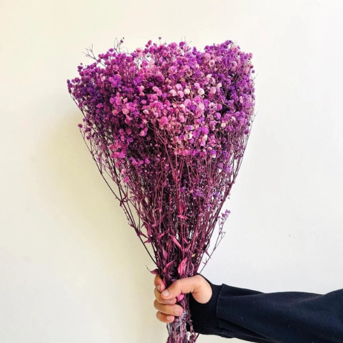 Nuage de Gypsophile – Preserved Baby’s Breath Flowers