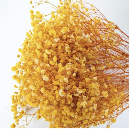 Nuage de Gypsophile – Preserved Baby’s Breath Flowers