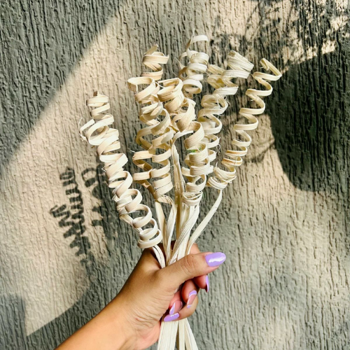 Spirale Naturelle – Decorative Dried Floral Stems