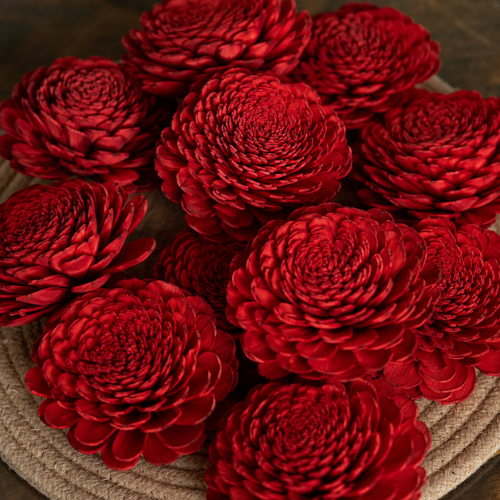 Rosette Naturelle – Cabbage Sola Wood Flowers