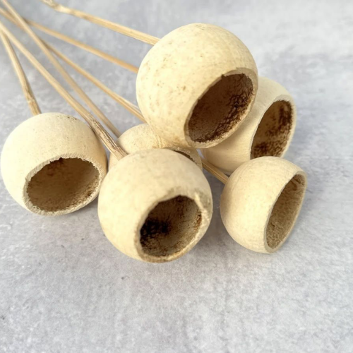 Cloches des Bois – Natural Bell Cup Stems