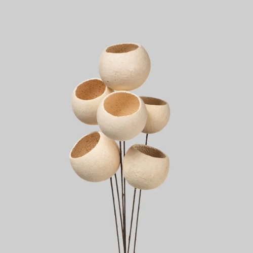 Cloches des Bois – Natural Bell Cup Stems