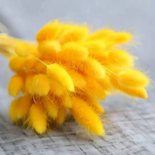 Pompons Soleil – Yellow Bunny Tail Flower Bunch