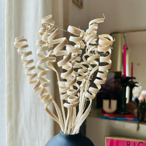Spirale Naturelle – Decorative Dried Floral Stems