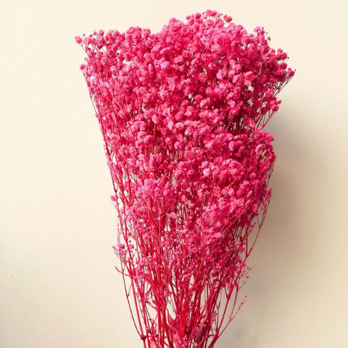 Nuage de Gypsophile – Preserved Baby’s Breath Flowers