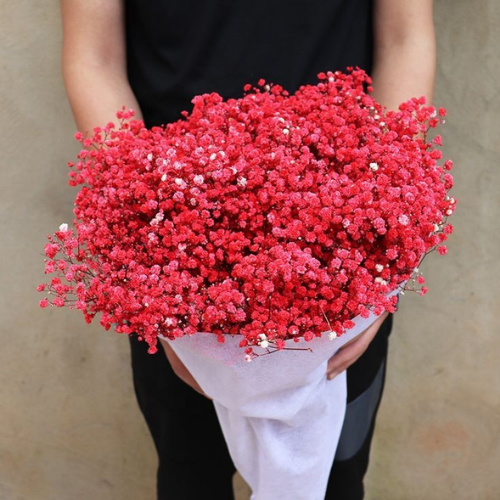 Nuage de Gypsophile – Preserved Baby’s Breath Flowers