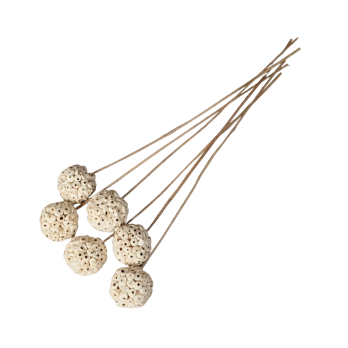 Perles de Bois – Sola Wood Decorative Flower Balls