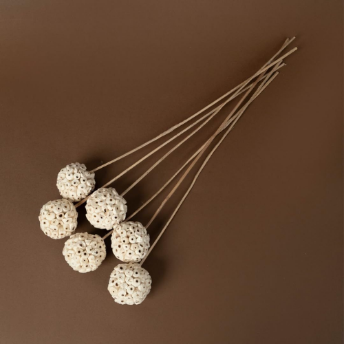 Perles de Bois – Sola Wood Decorative Flower Balls