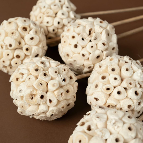 Perles de Bois – Sola Wood Decorative Flower Balls