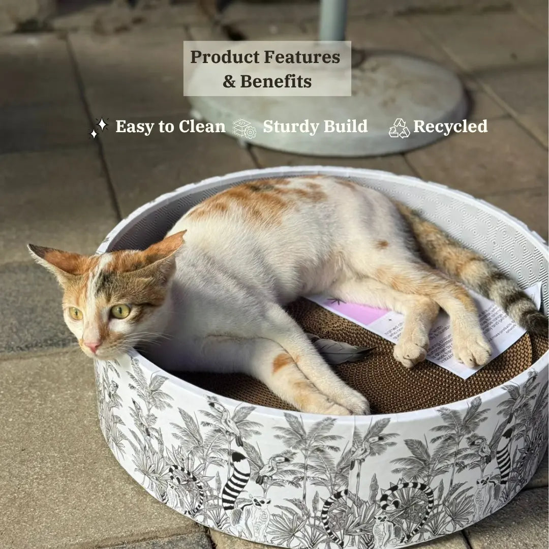 The Bella Scratch Bed - Madagascar