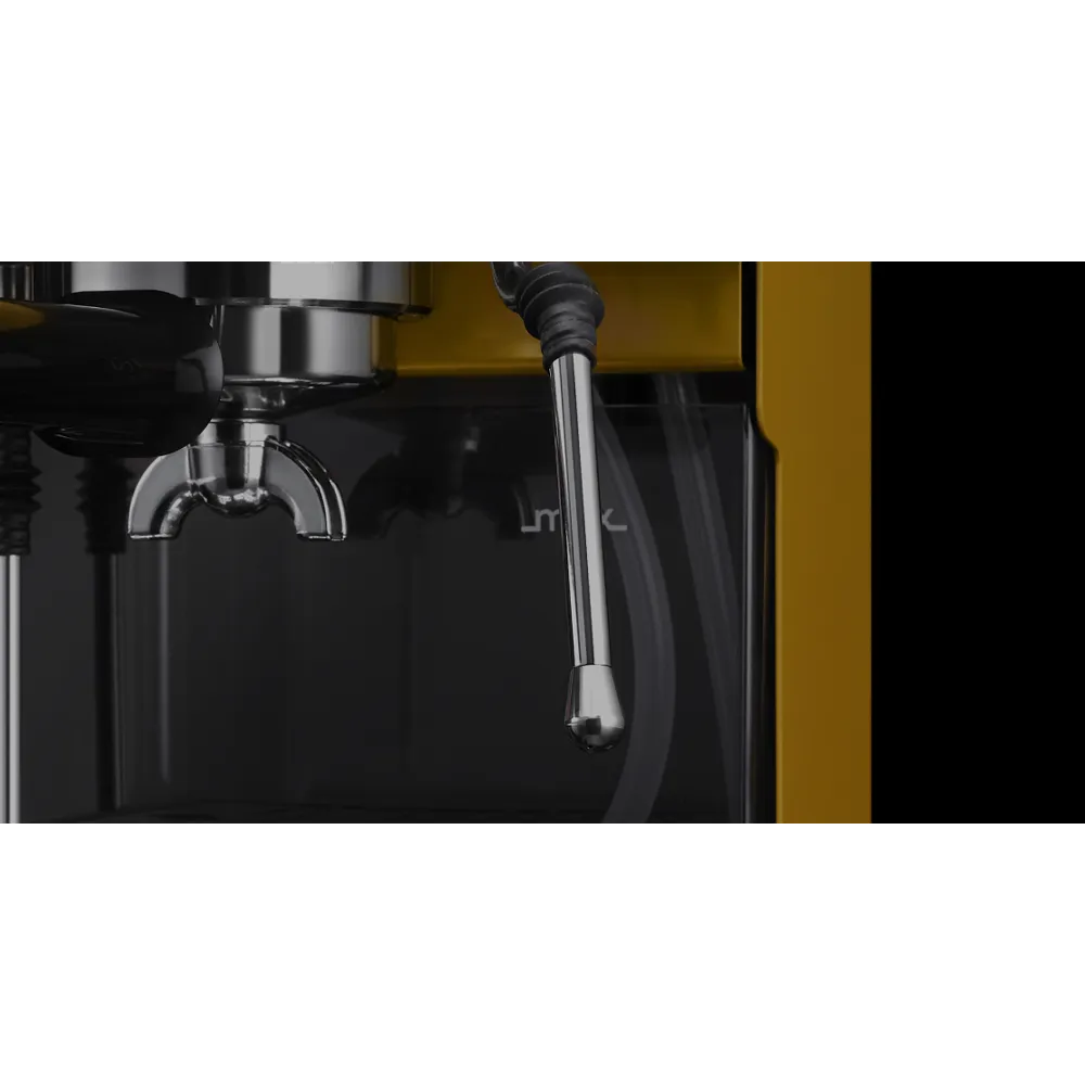 Gaggia Classic E24- Energy VibesGaggia Classic E24- Energy Vibes
