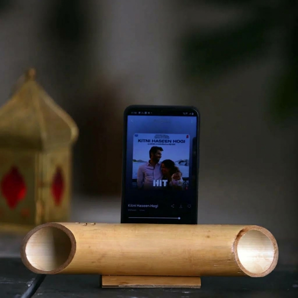 Bamboo Speaker