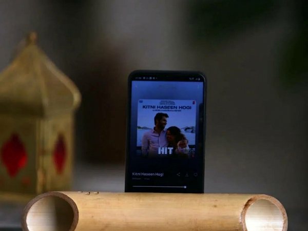 Bamboo Speaker