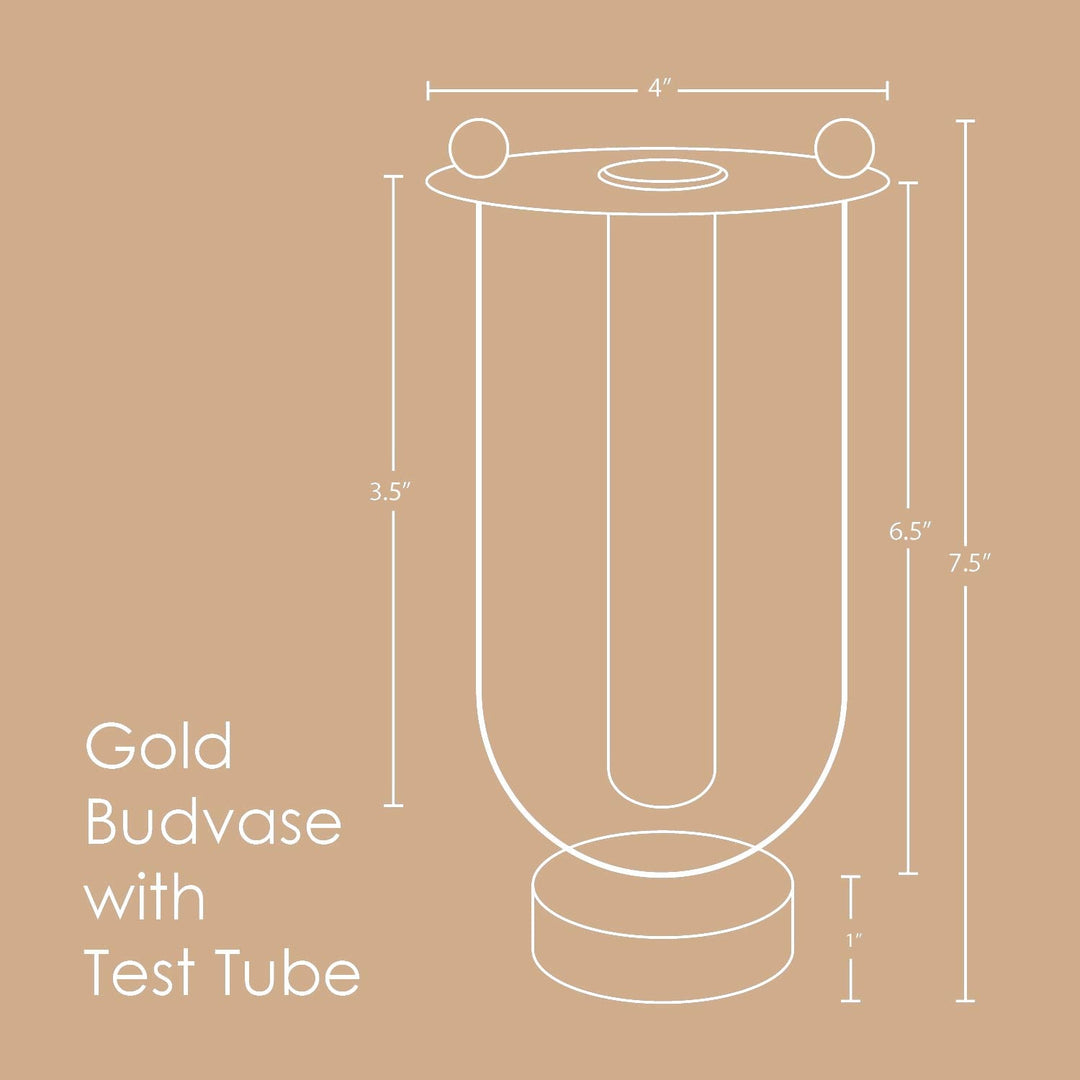 Muun Home Gold Budvase with Test Tube
