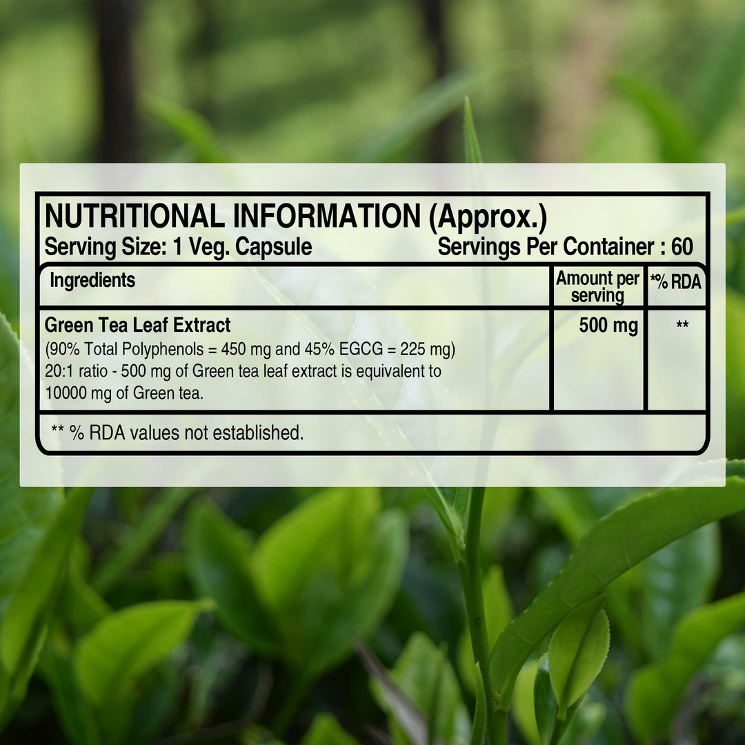 Green Tea Leaf Extract 500mg – 20:1 Concentrate | Antioxidant & Metabolism